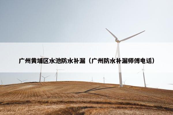 广州黄埔区水池防水补漏（广州防水补漏师傅电话）