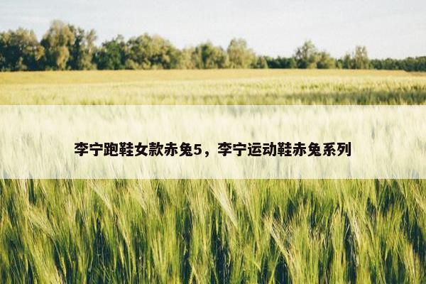 李宁跑鞋女款赤兔5，李宁运动鞋赤兔系列