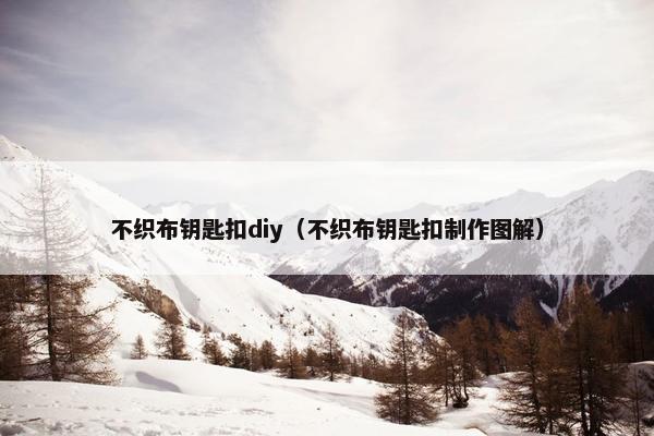 不织布钥匙扣diy（不织布钥匙扣制作图解）