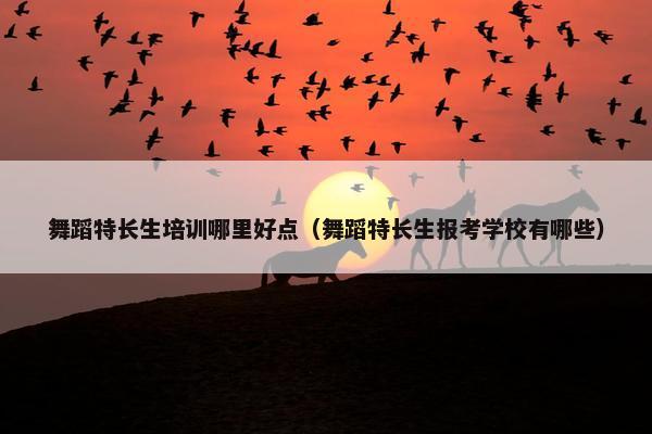 舞蹈特长生培训哪里好点（舞蹈特长生报考学校有哪些）