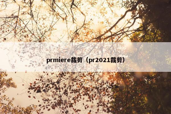 prmiere裁剪（pr2021裁剪）