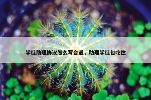 学徒助理协议怎么写合适，助理学徒包吃住