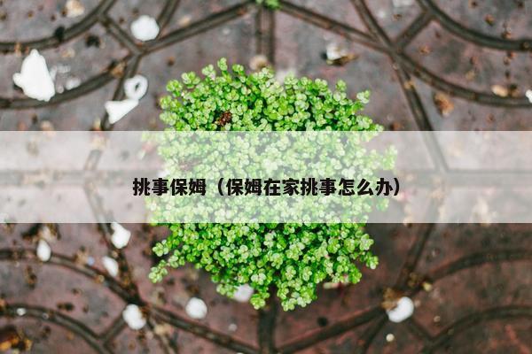 挑事保姆（保姆在家挑事怎么办）