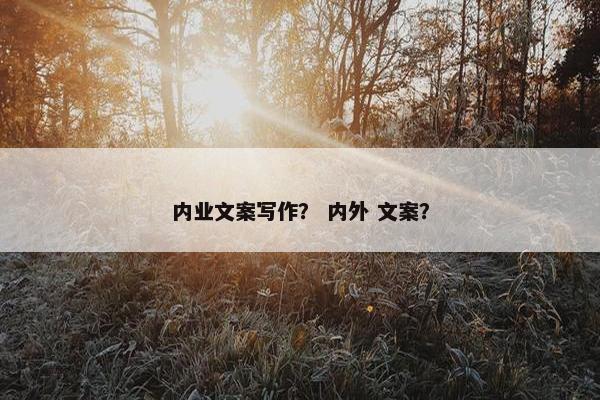 内业文案写作？ 内外 文案？