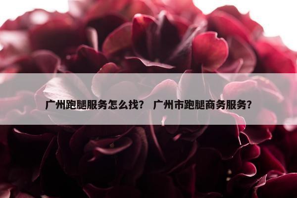 广州跑腿服务怎么找？ 广州市跑腿商务服务？