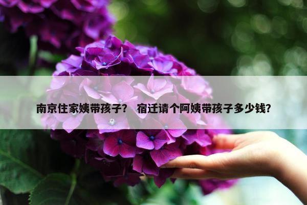 南京住家姨带孩子？ 宿迁请个阿姨带孩子多少钱？