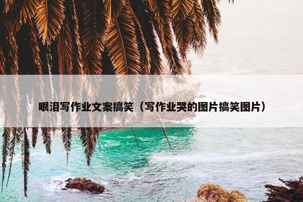 眼泪写作业文案搞笑（写作业哭的图片搞笑图片）