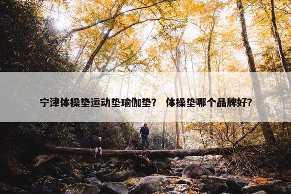 宁津体操垫运动垫瑜伽垫？ 体操垫哪个品牌好？