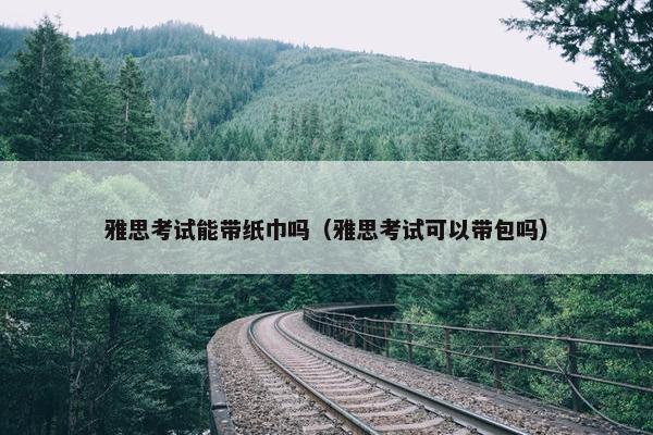 雅思考试能带纸巾吗（雅思考试可以带包吗）