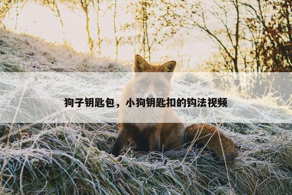 狗子钥匙包，小狗钥匙扣的钩法视频