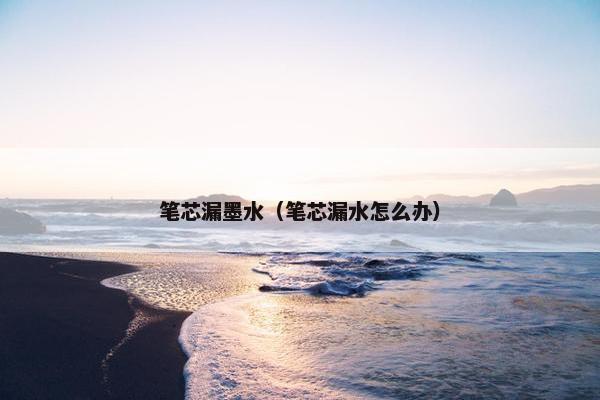 笔芯漏墨水（笔芯漏水怎么办）
