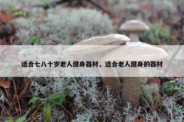 适合七八十岁老人健身器材，适合老人健身的器材
