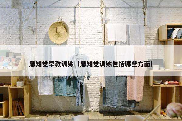 感知觉早教训练（感知觉训练包括哪些方面）