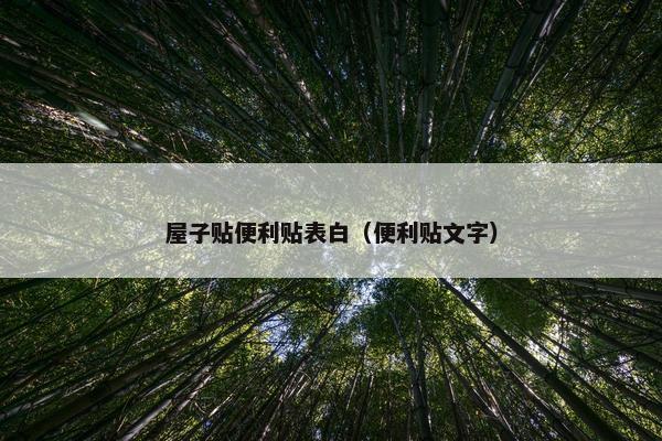 屋子贴便利贴表白（便利贴文字）
