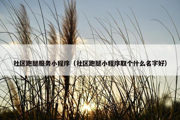 社区跑腿服务小程序（社区跑腿小程序取个什么名字好）