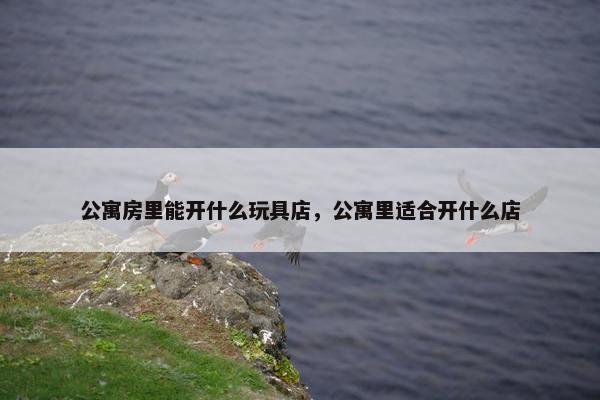 公寓房里能开什么玩具店，公寓里适合开什么店