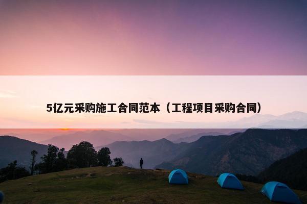 5亿元采购施工合同范本（工程项目采购合同）