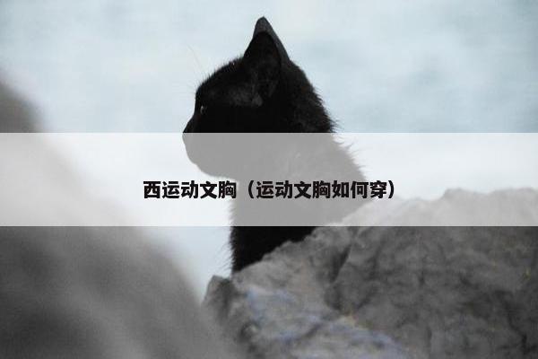 西运动文胸（运动文胸如何穿）