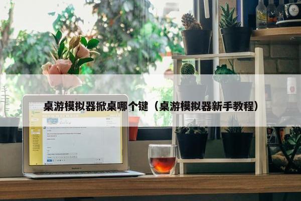 桌游模拟器掀桌哪个键（桌游模拟器新手教程）