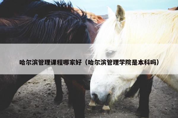 哈尔滨管理课程哪家好（哈尔滨管理学院是本科吗）