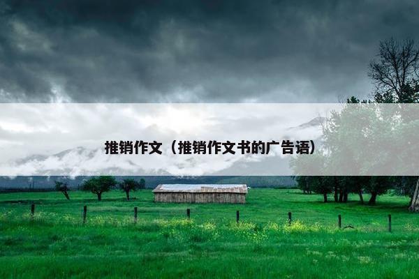 推销作文（推销作文书的广告语）