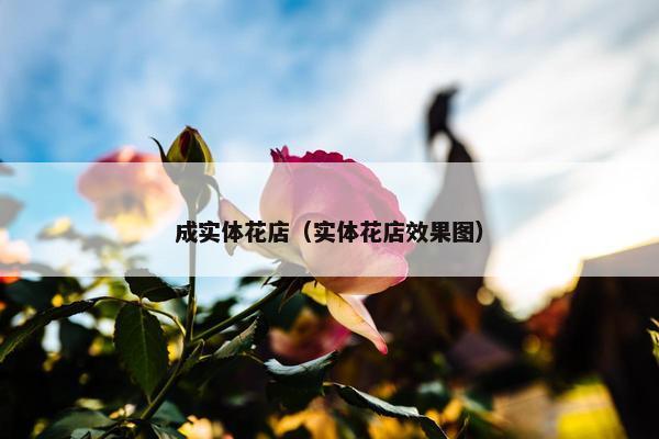 成实体花店（实体花店效果图）