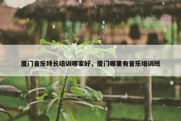 厦门音乐特长培训哪家好，厦门哪里有音乐培训班