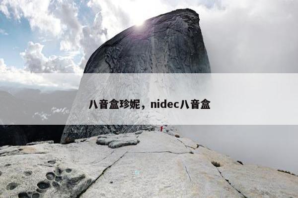 八音盒珍妮，nidec八音盒