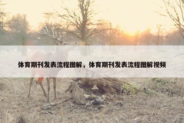 体育期刊发表流程图解，体育期刊发表流程图解视频