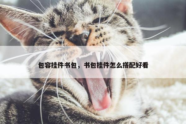 包容挂件书包，书包挂件怎么搭配好看