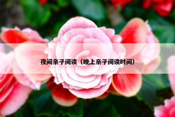 夜间亲子阅读（晚上亲子阅读时间）