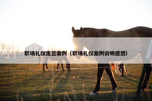 职场礼仪出丑案例（职场礼仪案例说明感想）