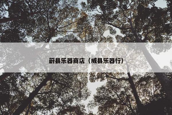 蔚县乐器商店（威县乐器行）