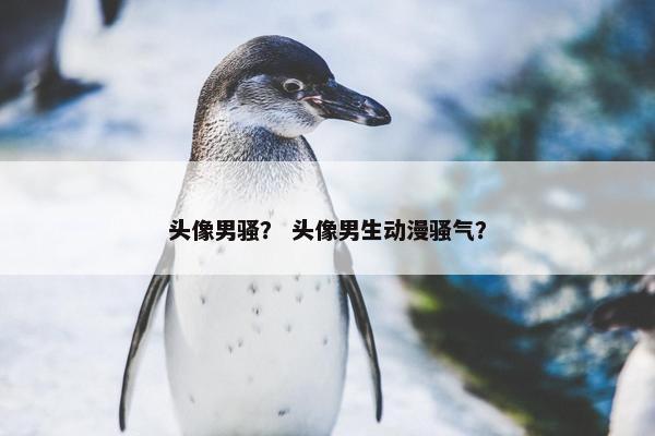 头像男骚？ 头像男生动漫骚气？