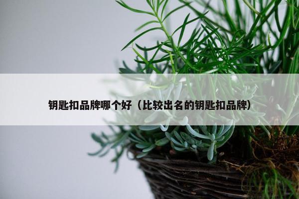 钥匙扣品牌哪个好（比较出名的钥匙扣品牌）