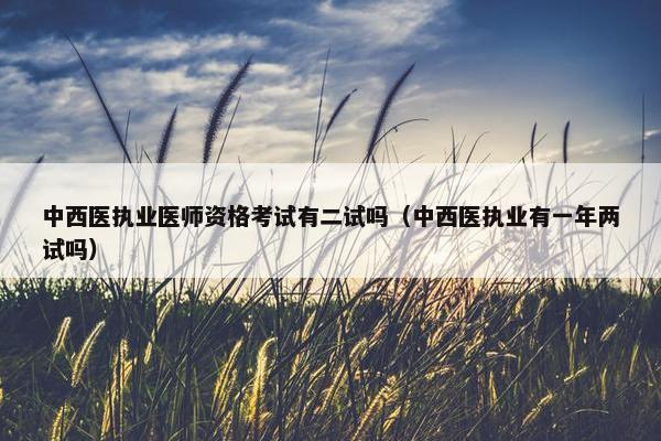 中西医执业医师资格考试有二试吗（中西医执业有一年两试吗）