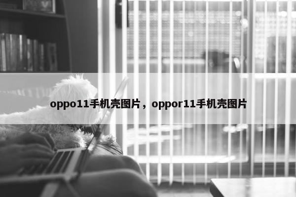 oppo11手机壳图片，oppor11手机壳图片