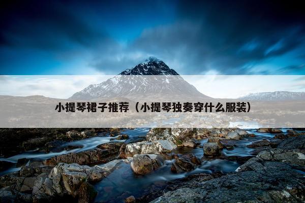 小提琴裙子推荐（小提琴独奏穿什么服装）