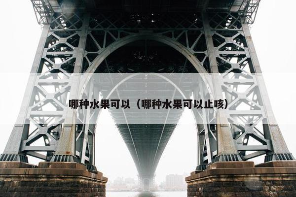 哪种水果可以（哪种水果可以止咳）