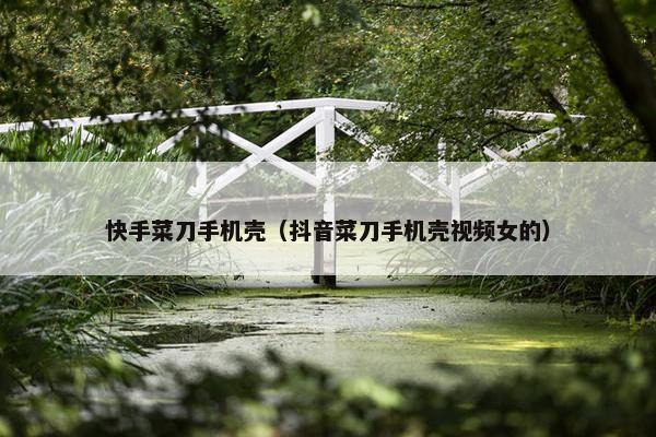 快手菜刀手机壳（抖音菜刀手机壳视频女的）