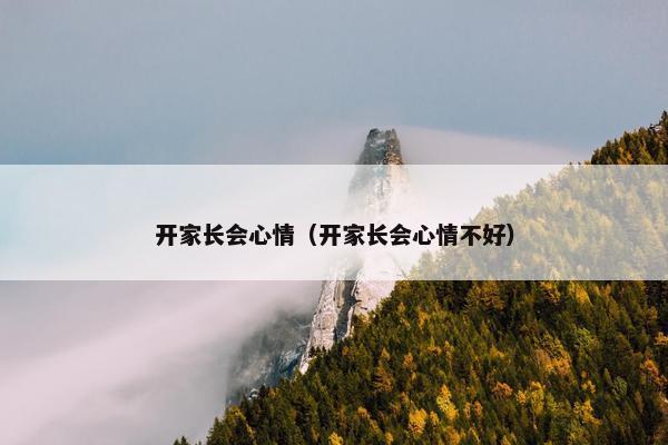 开家长会心情（开家长会心情不好）
