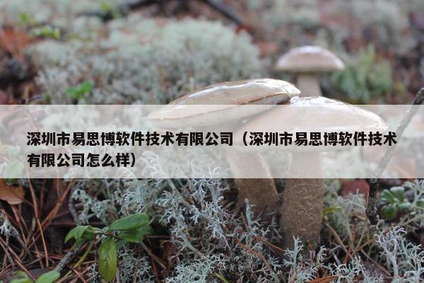 深圳市易思博软件技术有限公司（深圳市易思博软件技术有限公司怎么样）