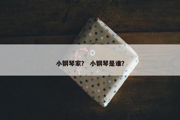 小钢琴家？ 小钢琴是谁？