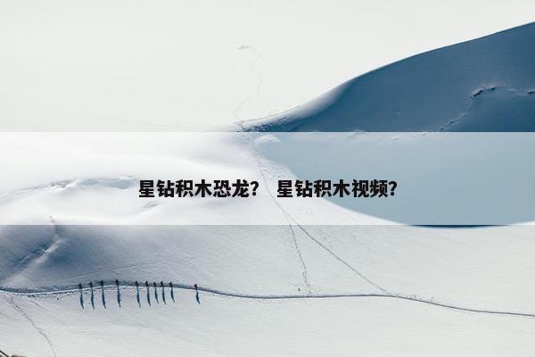 星钻积木恐龙？ 星钻积木视频？