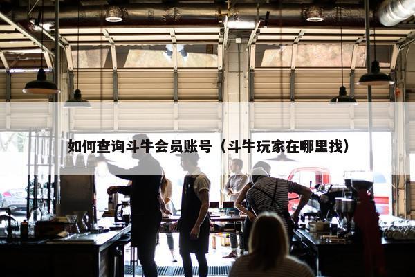 如何查询斗牛会员账号（斗牛玩家在哪里找）