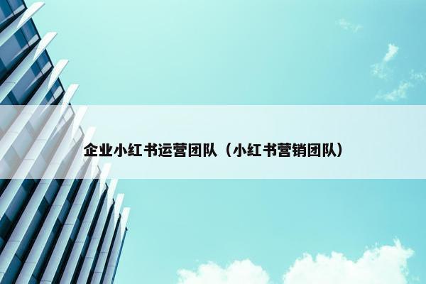 企业小红书运营团队（小红书营销团队）