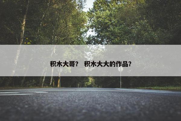 积木大哥？ 积木大大的作品？