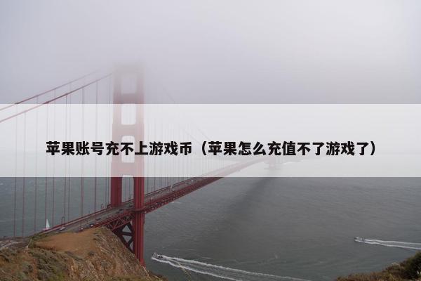 苹果账号充不上游戏币（苹果怎么充值不了游戏了）