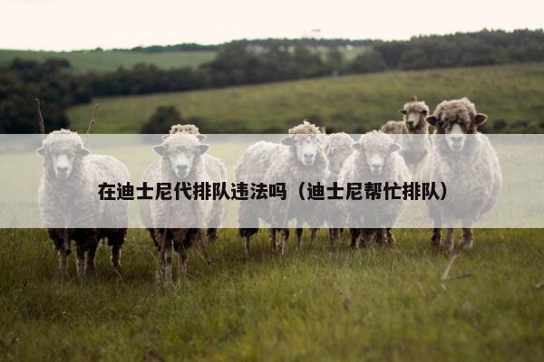 在迪士尼代排队违法吗（迪士尼帮忙排队）