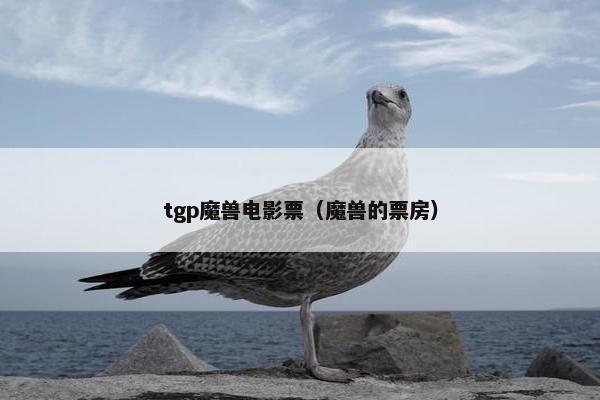 tgp魔兽电影票（魔兽的票房）